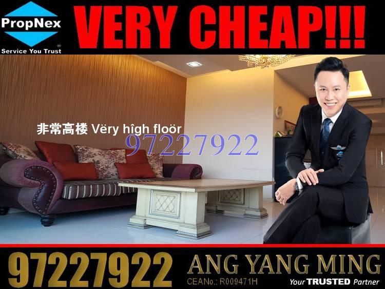 Livia thumbnail photo